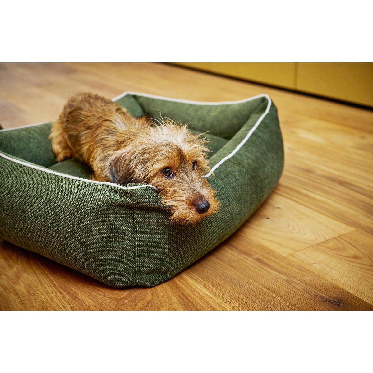 CLASSIC Hundebett - ECO GREEN - Tiny Paws Boutique