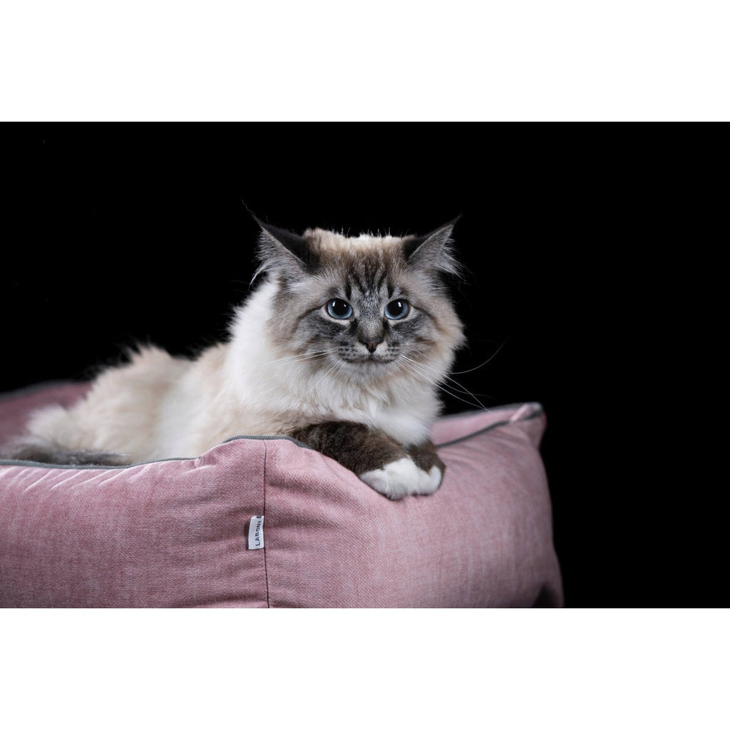 CLASSIC Hundebett - GLAM ROSE - Tiny Paws Boutique