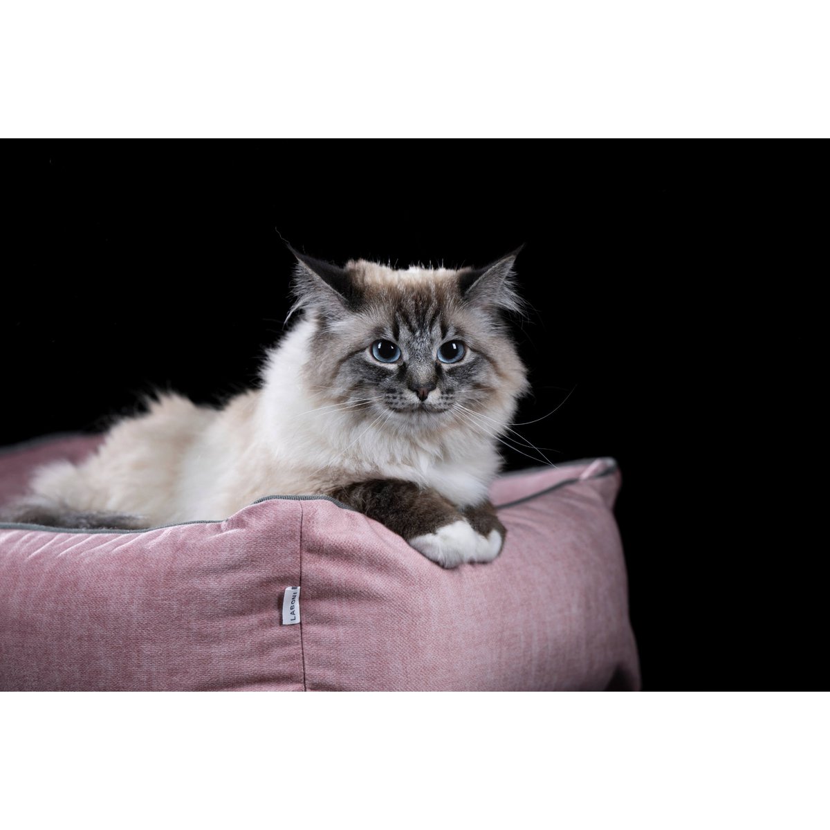 CLASSIC Hundebett - GLAM ROSE - Tiny Paws Boutique