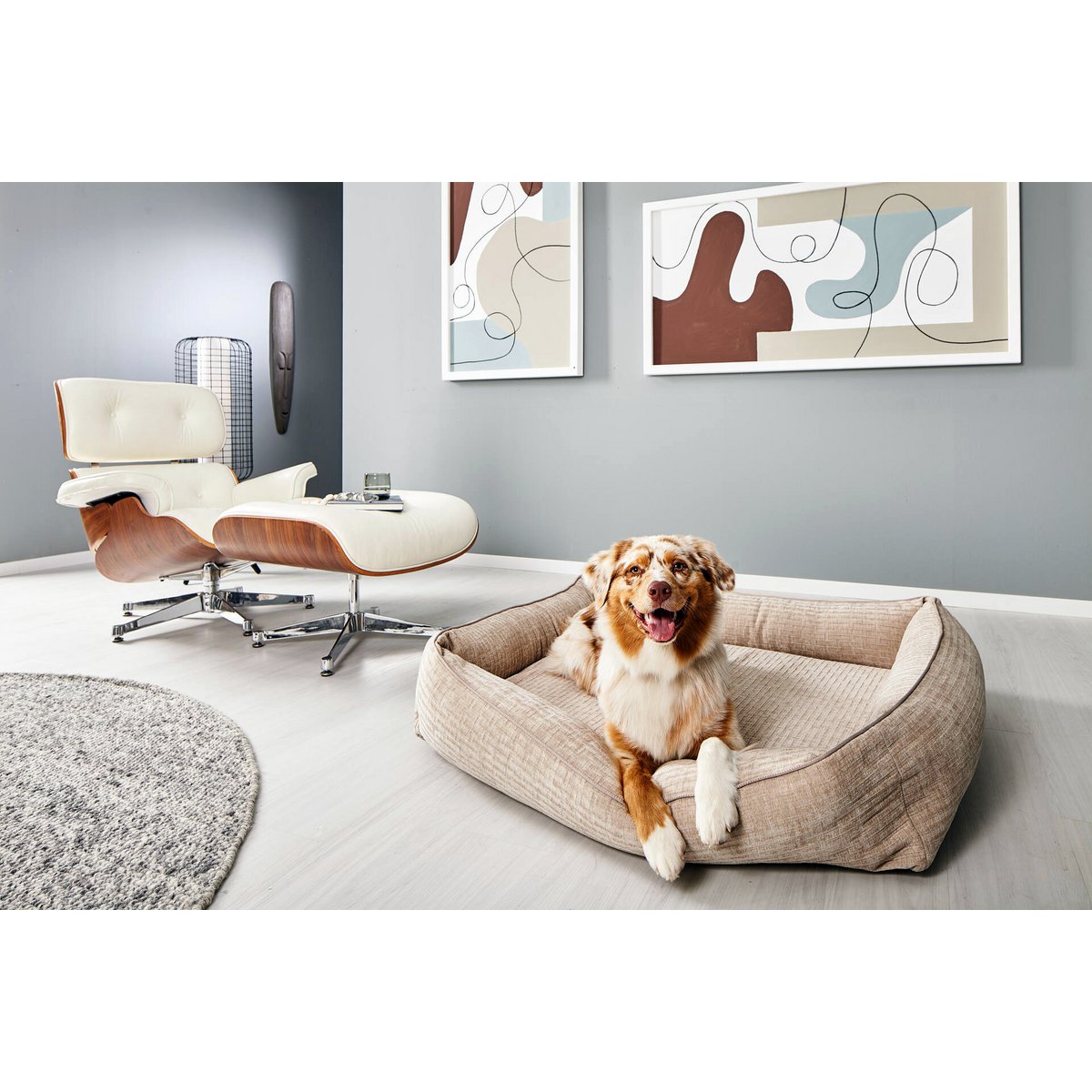 CLASSIC Hundebett - NOVA CREME - Tiny Paws Boutique