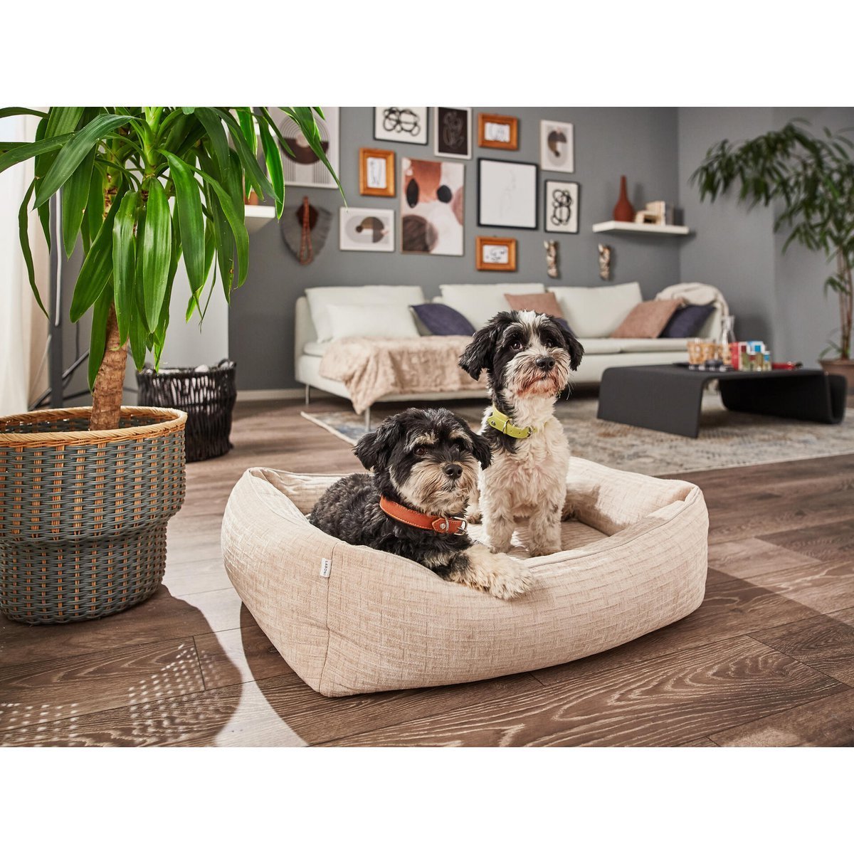 CLASSIC Hundebett - NOVA CREME - Tiny Paws Boutique