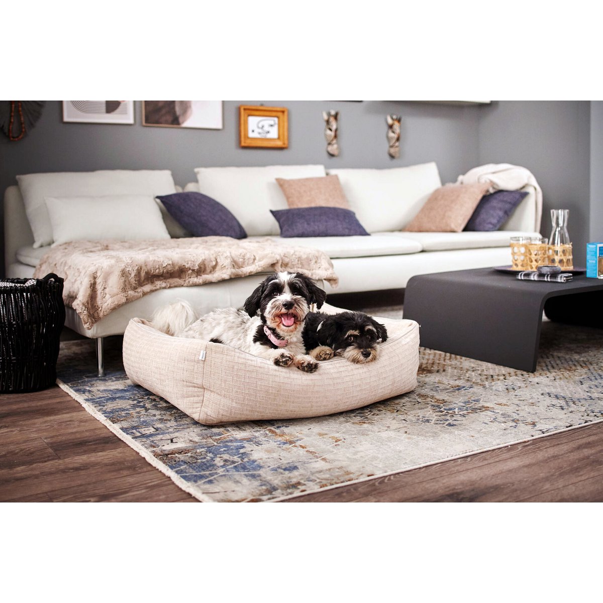 CLASSIC Hundebett - NOVA CREME - Tiny Paws Boutique