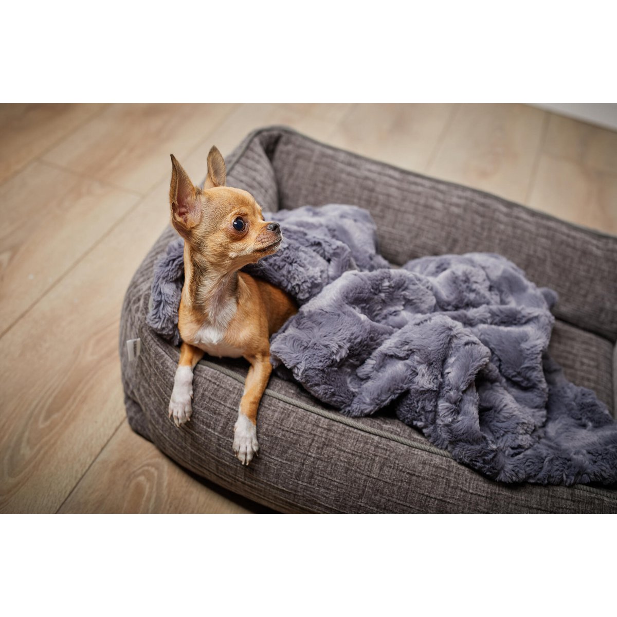CLASSIC Hundebett - NOVA STONE - Tiny Paws Boutique