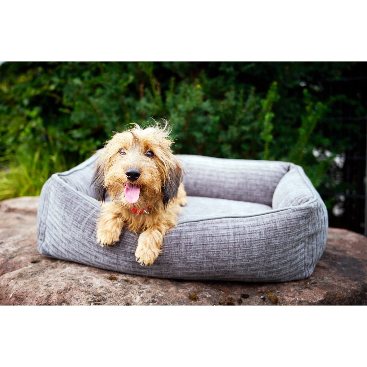 CLASSIC Hundebett - NOVA STONE - Tiny Paws Boutique