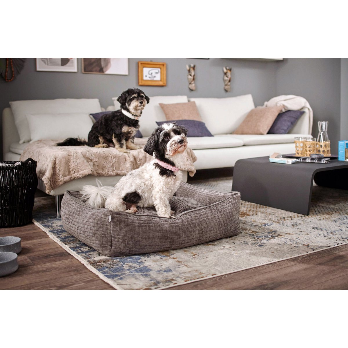 CLASSIC Hundebett - NOVA STONE - Tiny Paws Boutique
