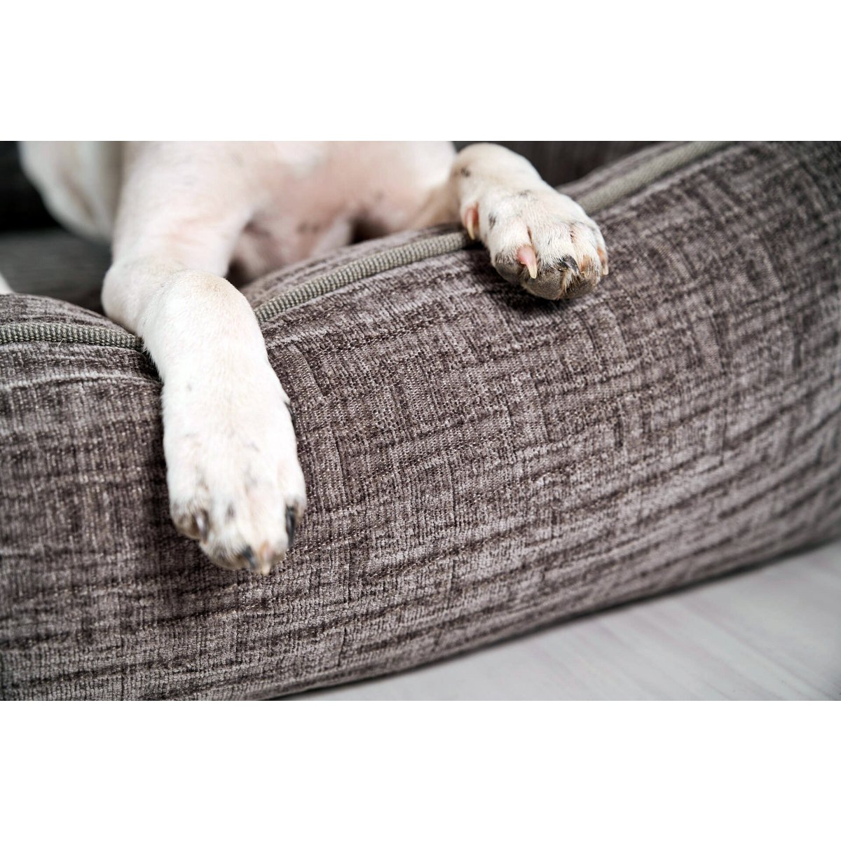 CLASSIC Hundebett - NOVA STONE - Tiny Paws Boutique