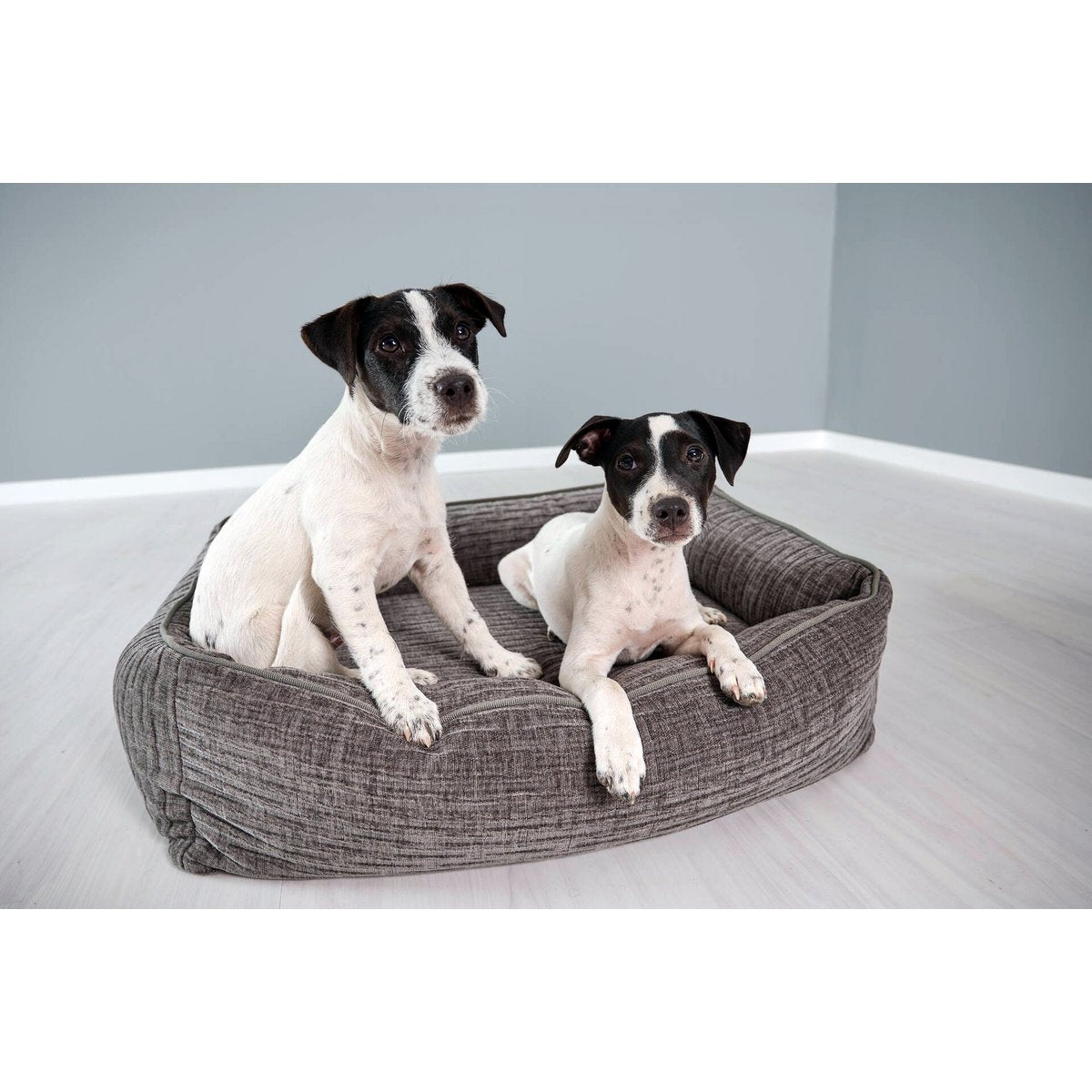 CLASSIC Hundebett - NOVA STONE - Tiny Paws Boutique
