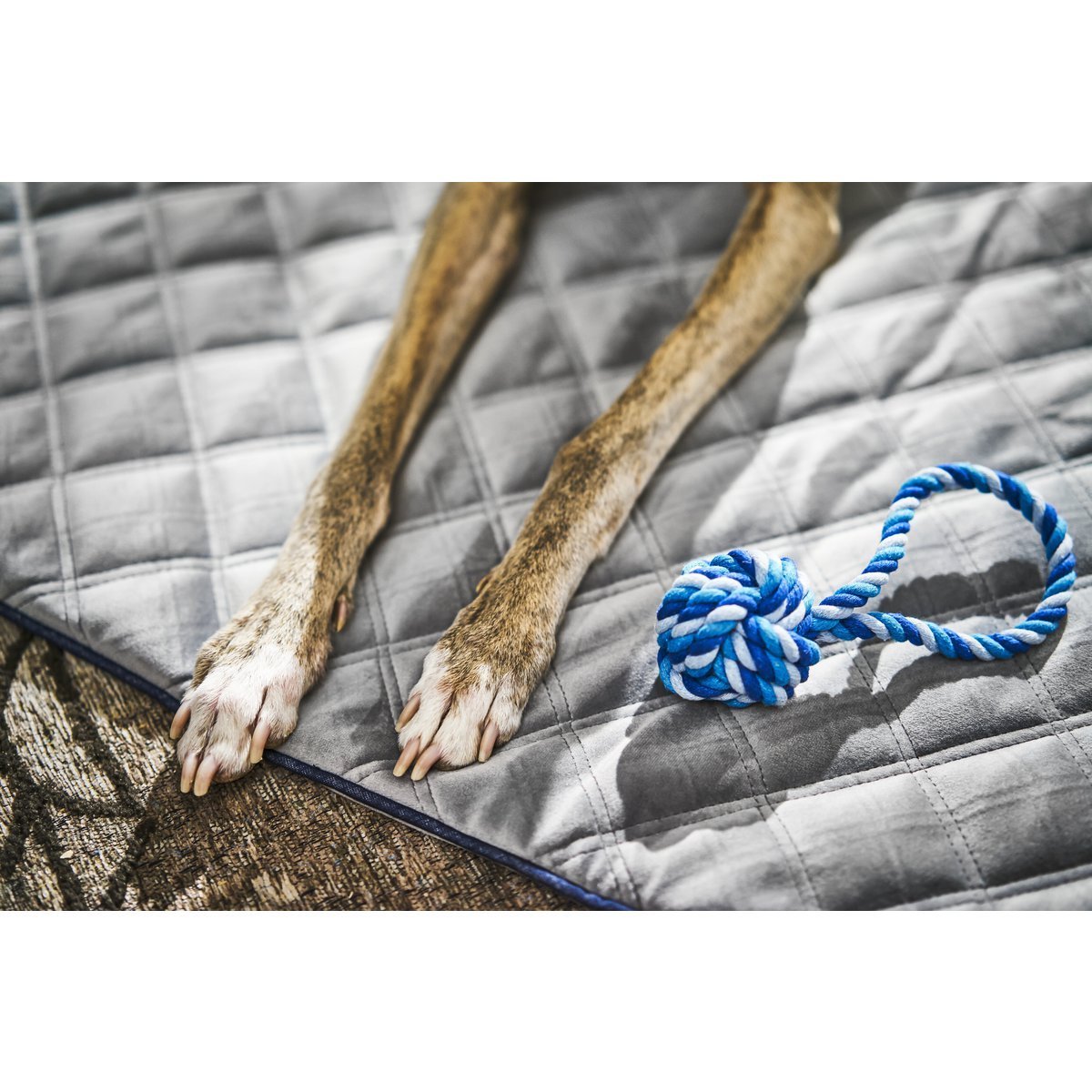 CLASSIC Hundebett - OXFORD GREY - Tiny Paws Boutique