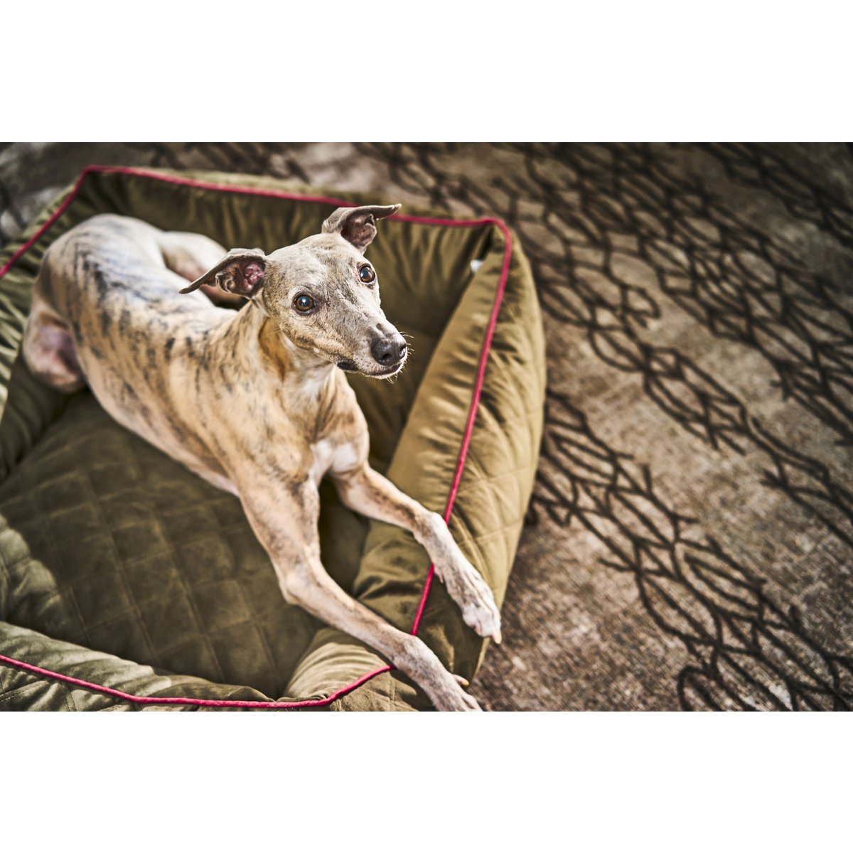 CLASSIC Hundebett - OXFORD OLIVE - Tiny Paws Boutique