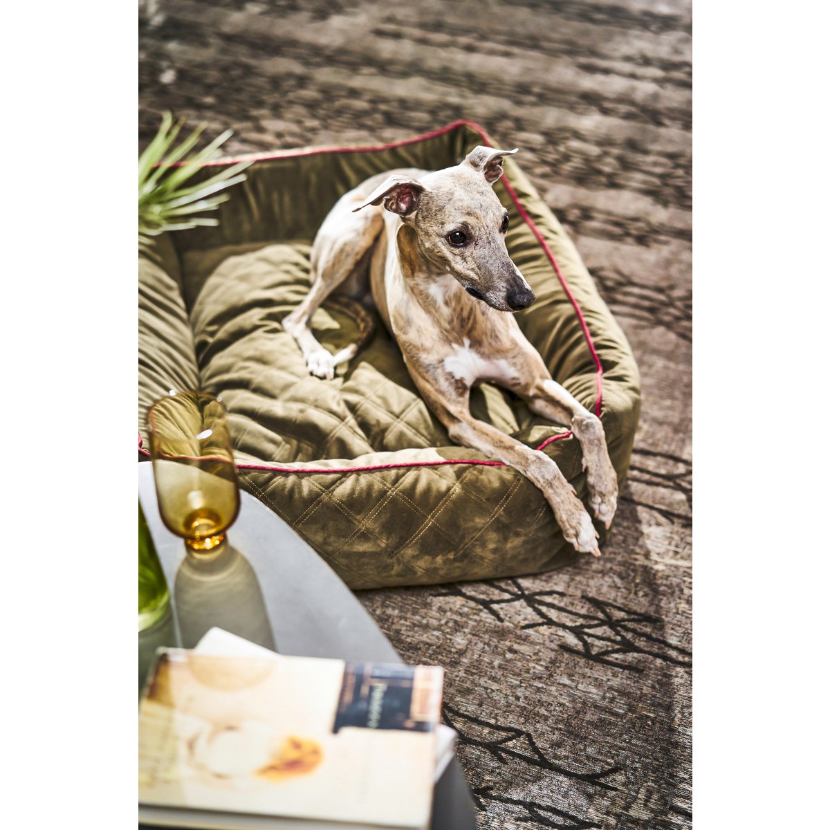 CLASSIC Hundebett - OXFORD OLIVE - Tiny Paws Boutique