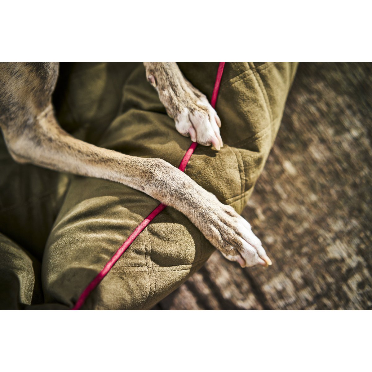 CLASSIC Hundebett - OXFORD OLIVE - Tiny Paws Boutique