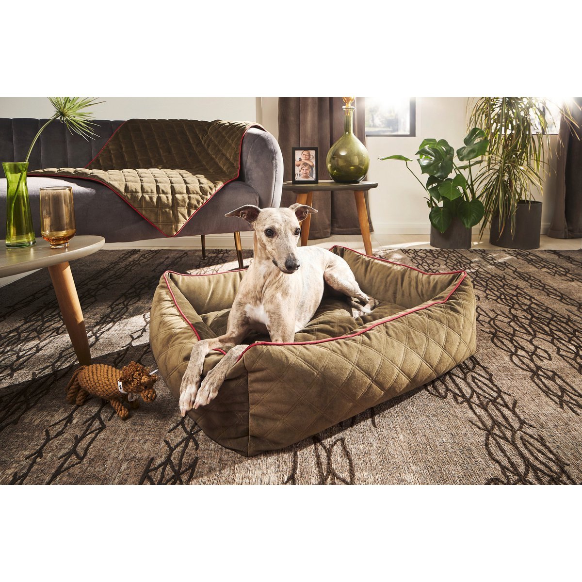 CLASSIC Hundebett - OXFORD OLIVE - Tiny Paws Boutique
