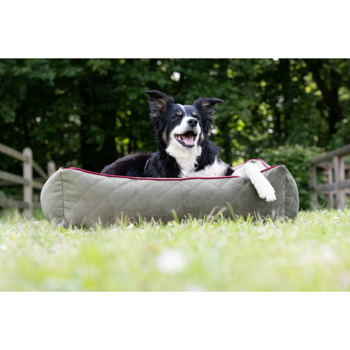 CLASSIC Hundebett - OXFORD OLIVE - Tiny Paws Boutique