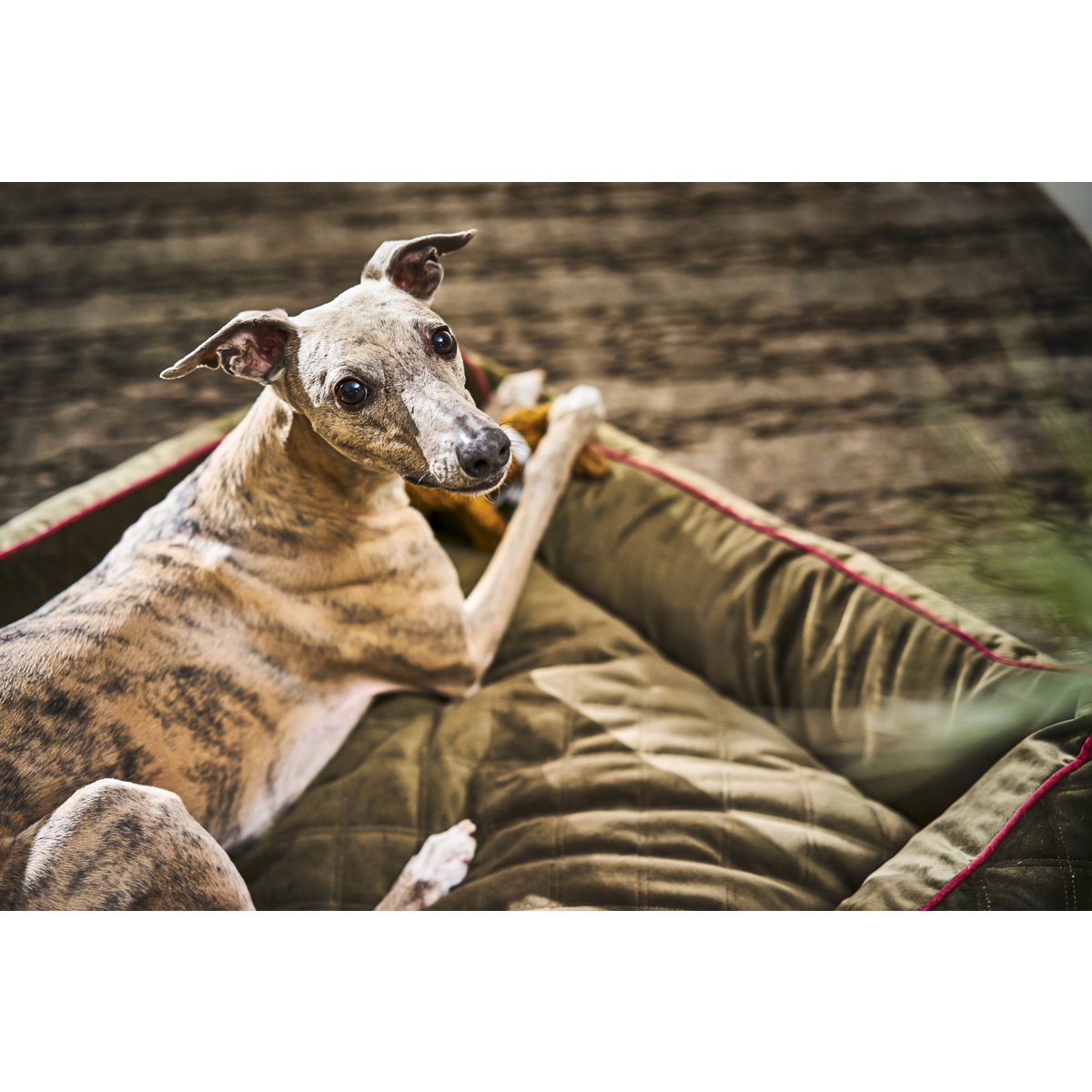 CLASSIC Hundebett - OXFORD OLIVE - Tiny Paws Boutique