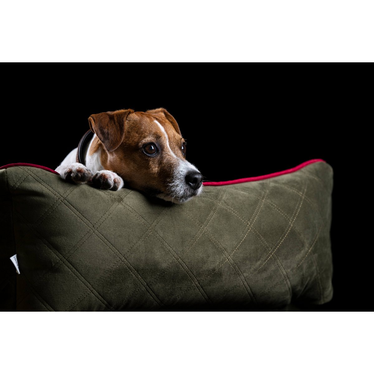 CLASSIC Hundebett - OXFORD OLIVE - Tiny Paws Boutique