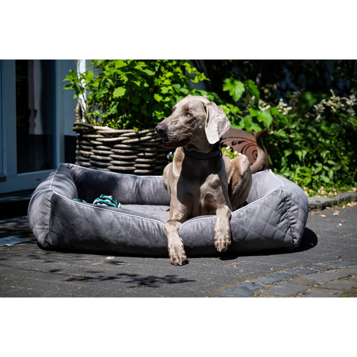 CLASSIC Hundebett - OXFORD STONE - Tiny Paws Boutique