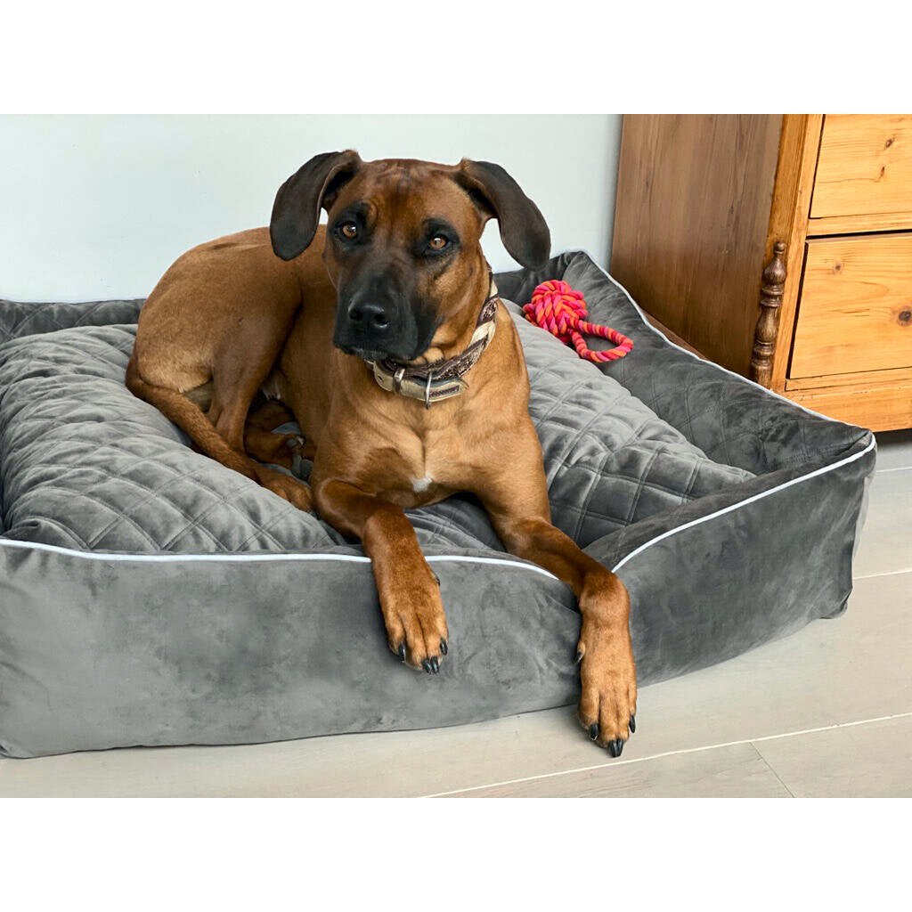 CLASSIC Hundebett - OXFORD STONE - Tiny Paws Boutique