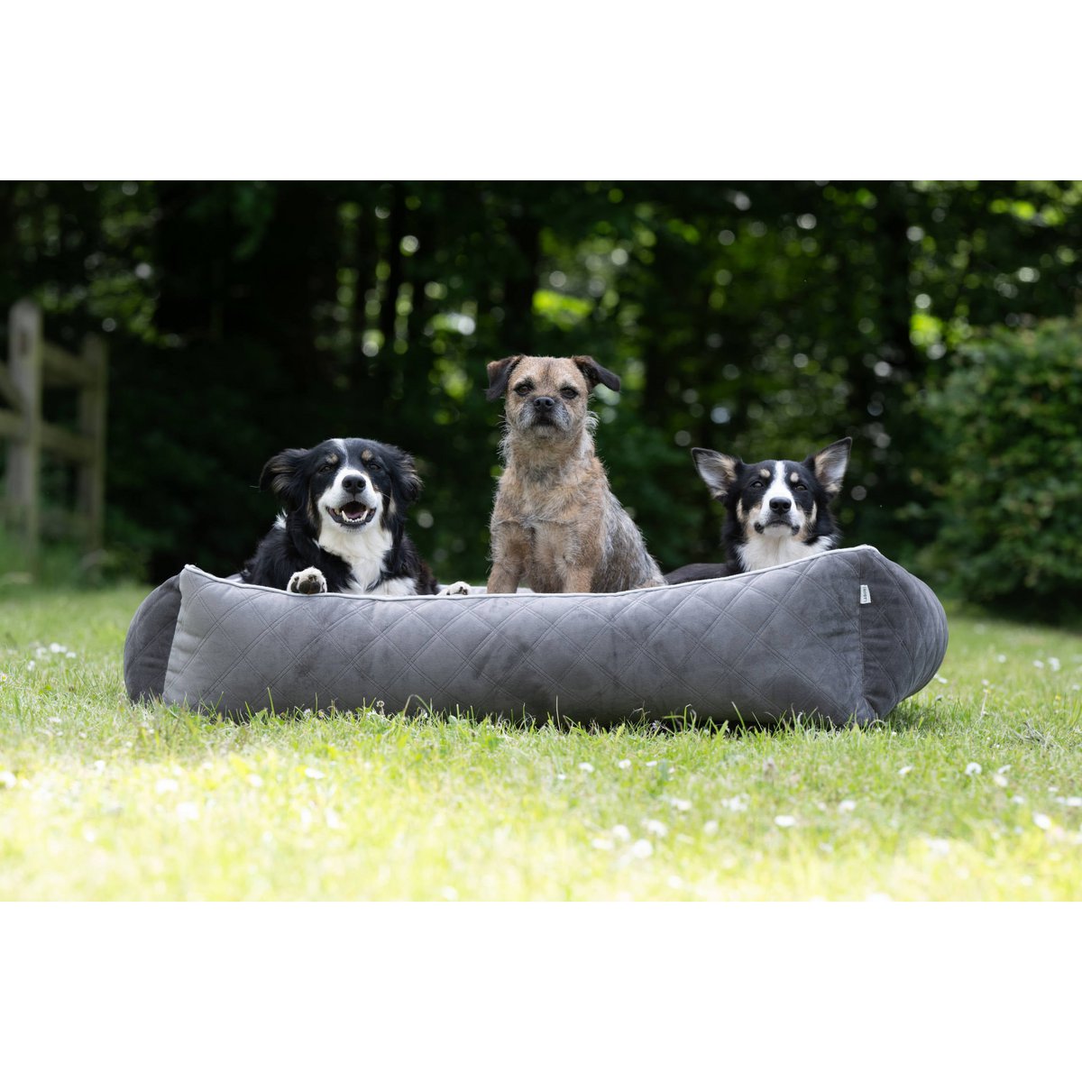CLASSIC Hundebett - OXFORD STONE - Tiny Paws Boutique