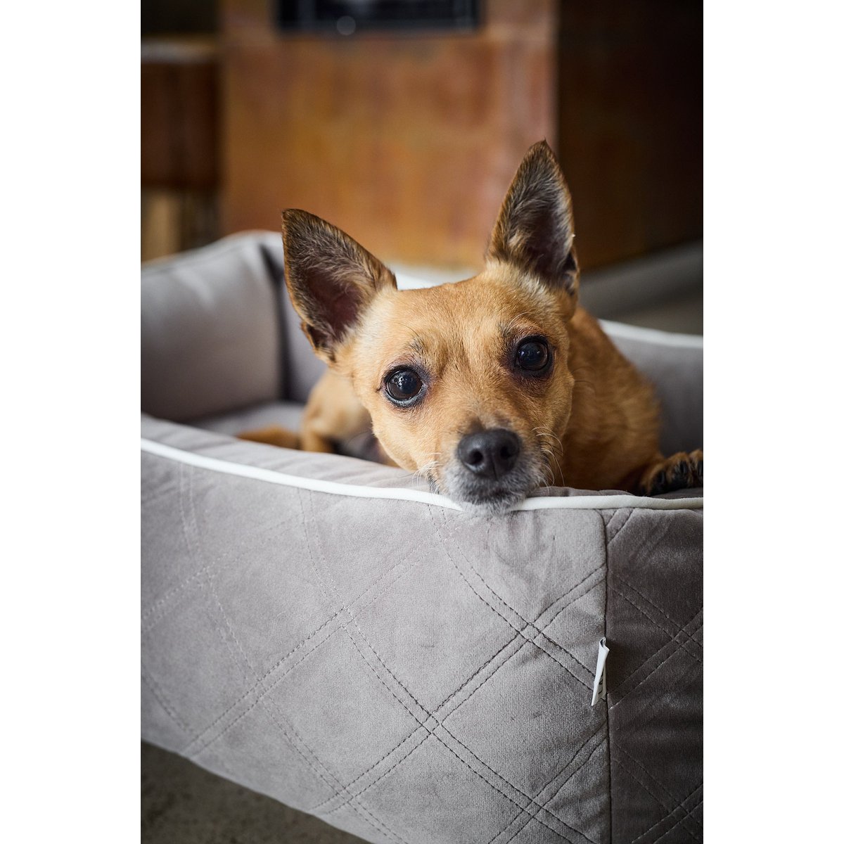 CLASSIC Hundebett - OXFORD TAUPE - Tiny Paws Boutique