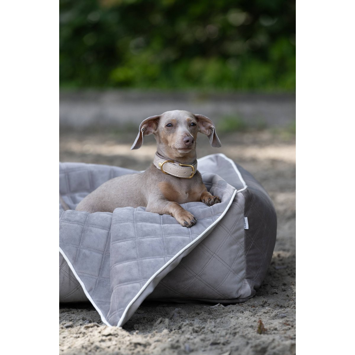 CLASSIC Hundebett - OXFORD TAUPE - Tiny Paws Boutique