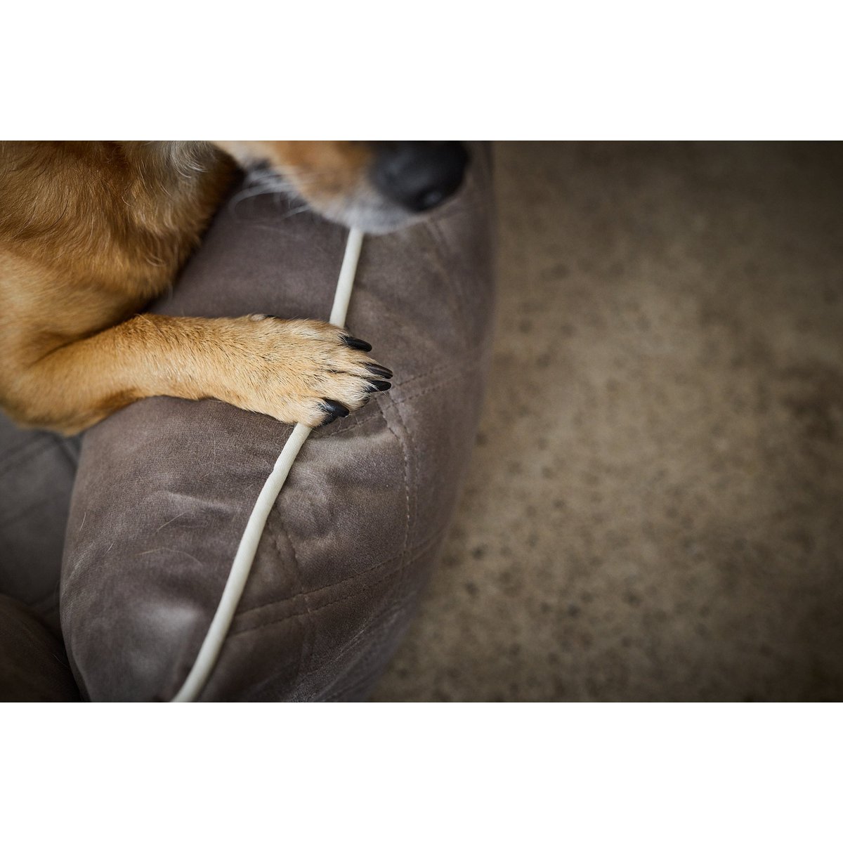 CLASSIC Hundebett - OXFORD TAUPE - Tiny Paws Boutique