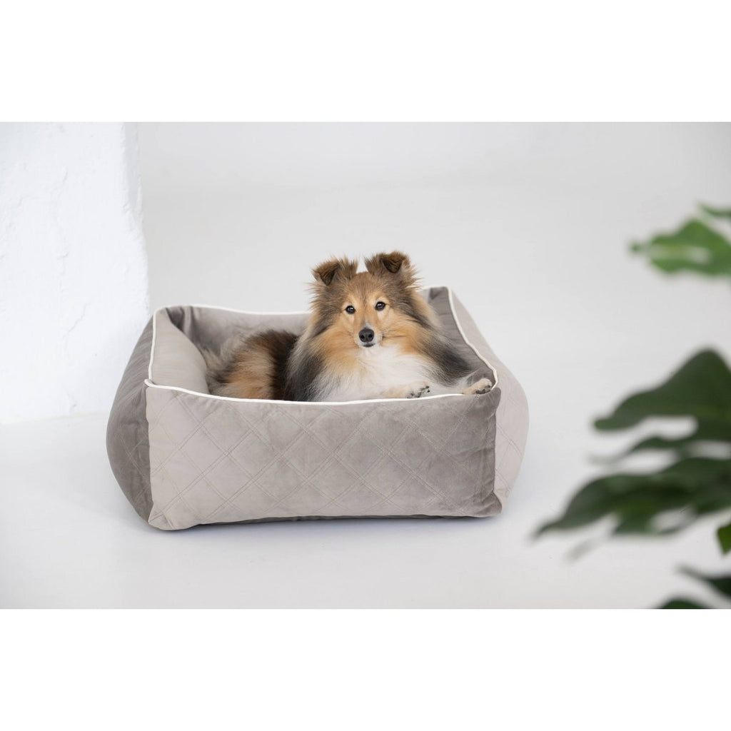 CLASSIC Hundebett - OXFORD TAUPE - Tiny Paws Boutique