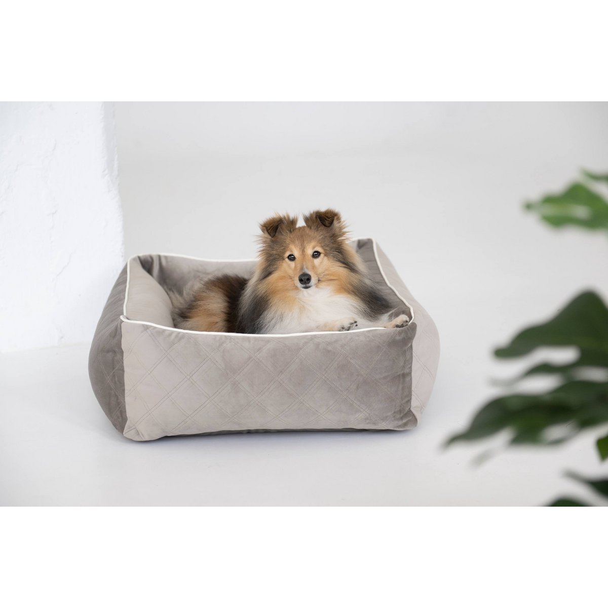 CLASSIC Hundebett - OXFORD TAUPE - Tiny Paws Boutique