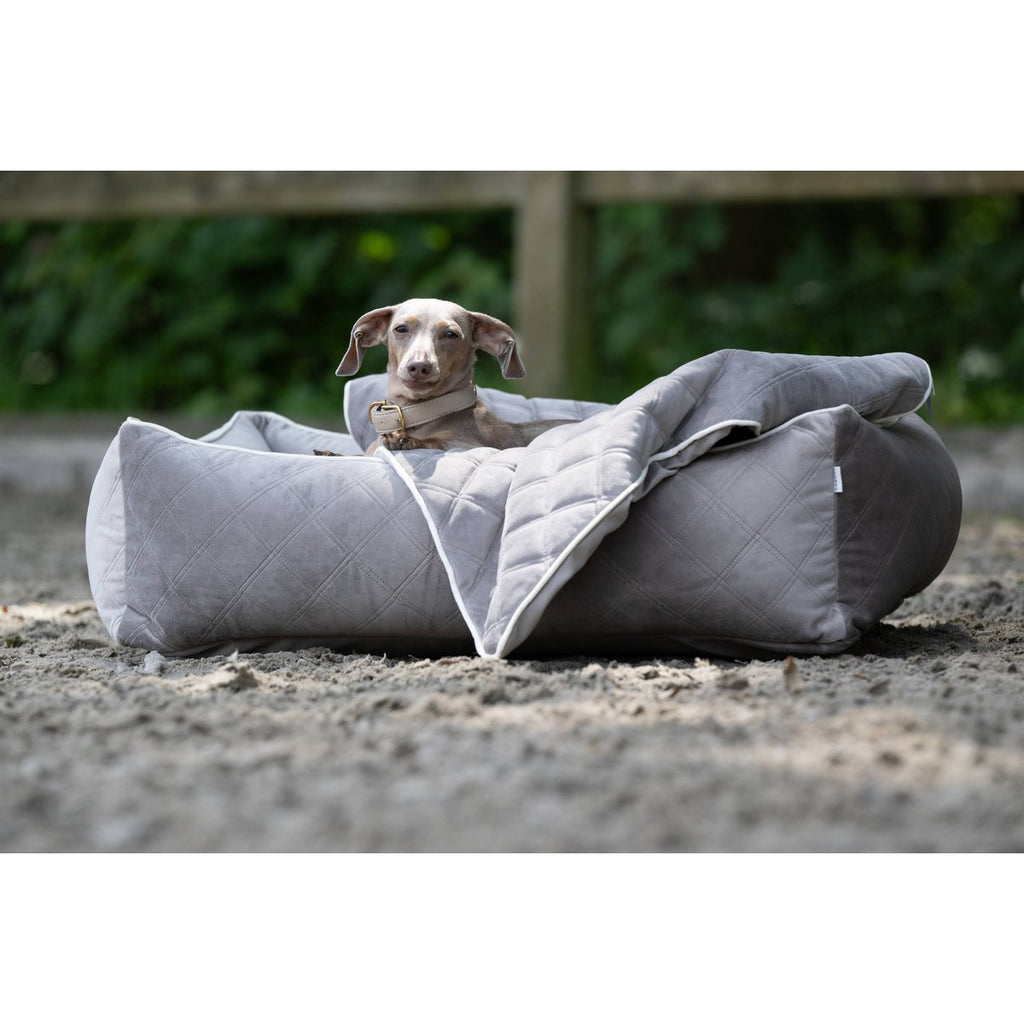 CLASSIC Hundebett - OXFORD TAUPE - Tiny Paws Boutique