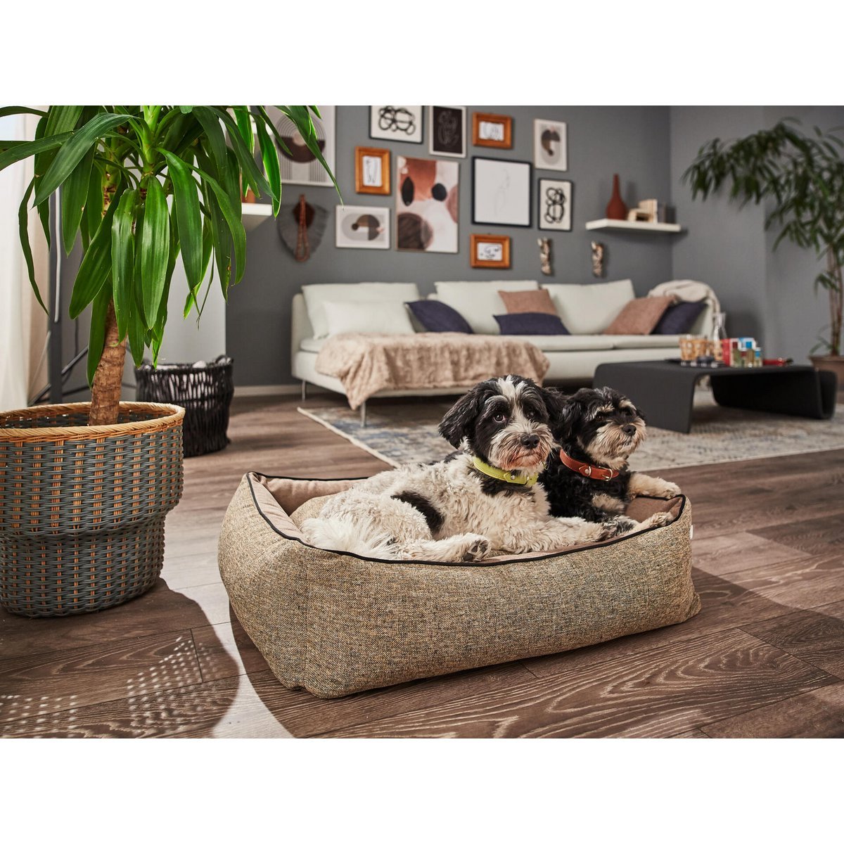 CLASSIC Hundebett - SCALA AMBER - Tiny Paws Boutique