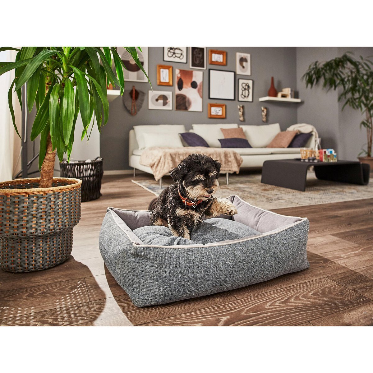 CLASSIC Hundebett - SCALA DENIM - Tiny Paws Boutique