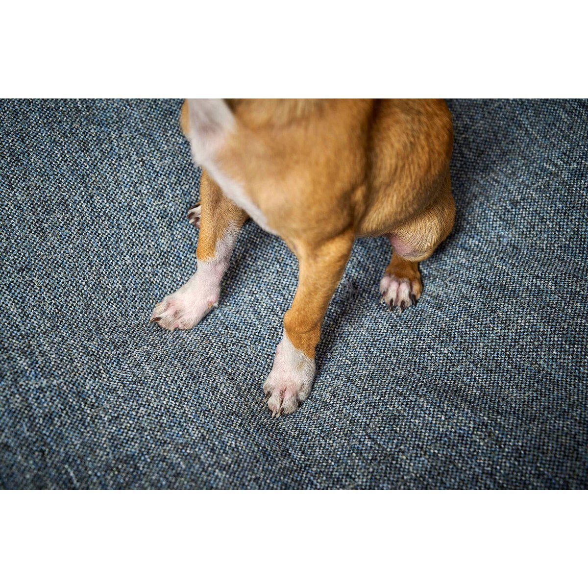 CLASSIC Hundebett - SCALA DENIM - Tiny Paws Boutique