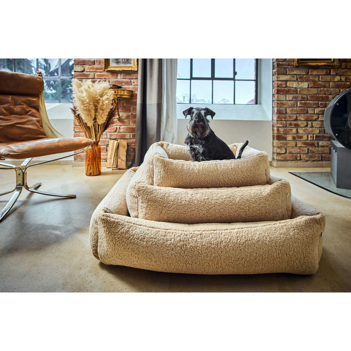CLASSIC Hundebett - TEDDY CREME - Tiny Paws Boutique
