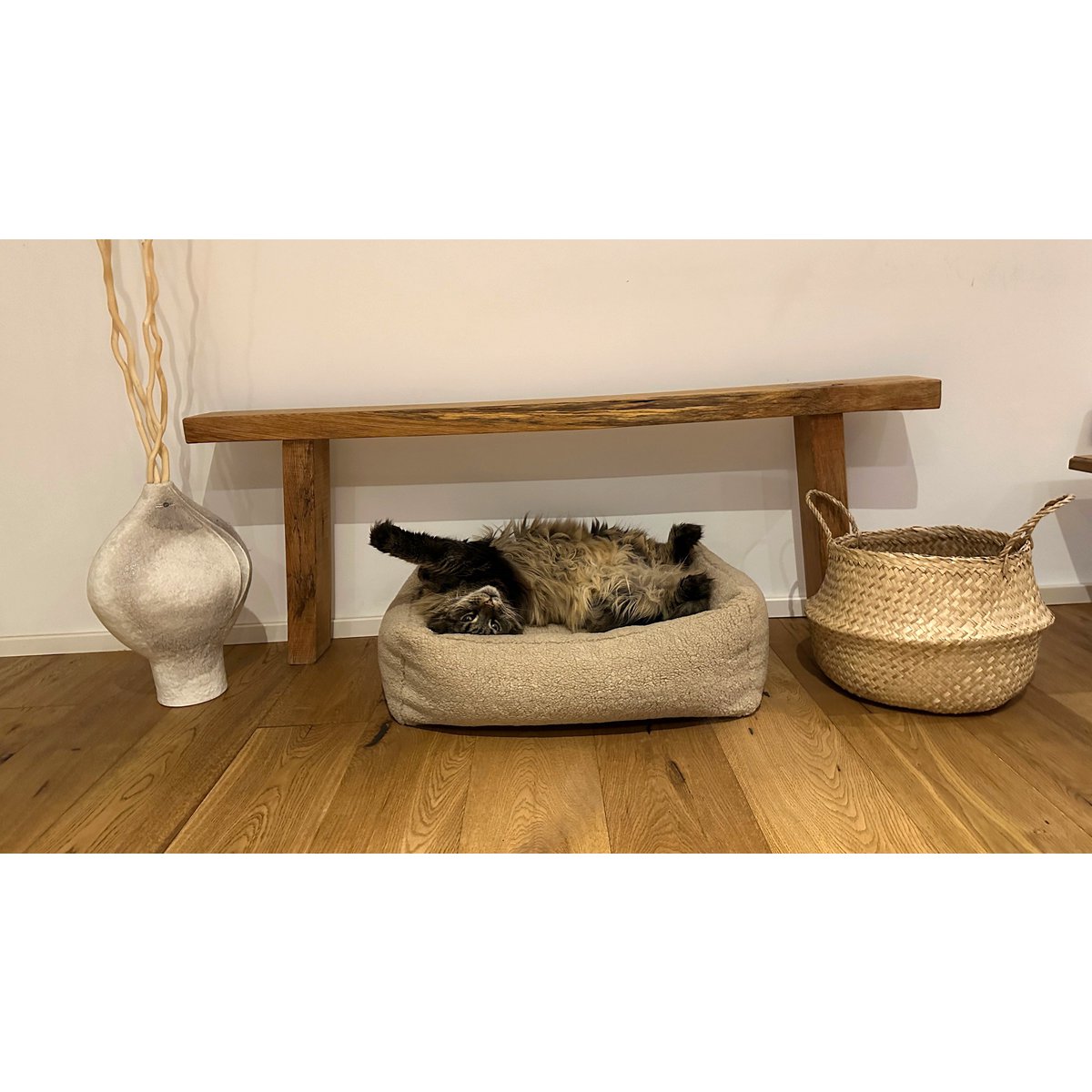CLASSIC Hundebett - TEDDY CREME - Tiny Paws Boutique