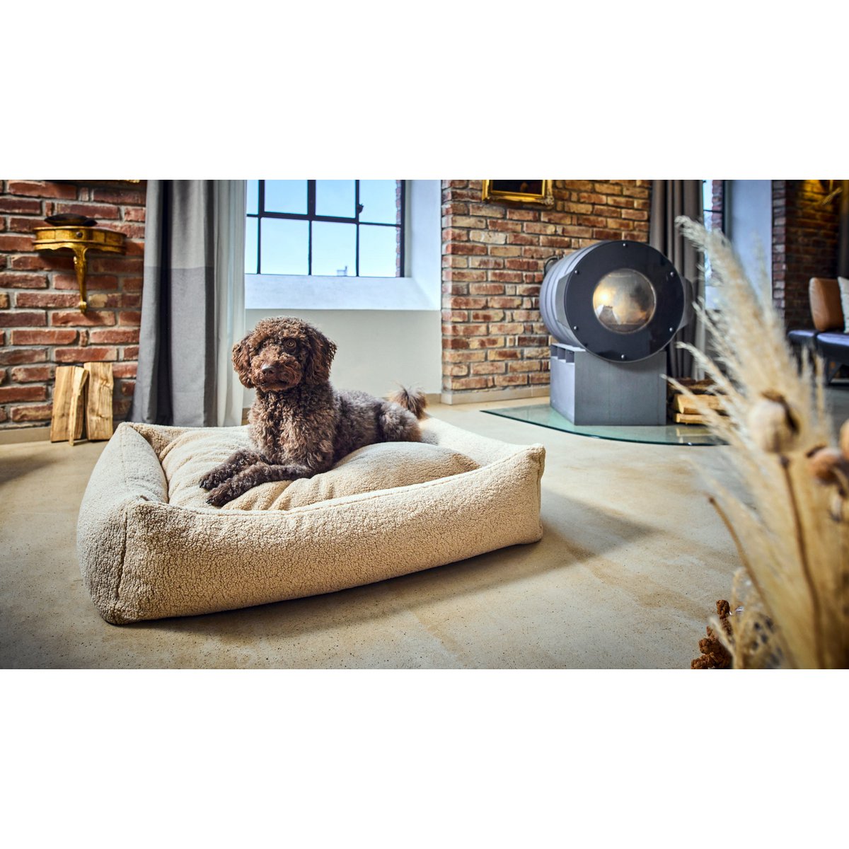 CLASSIC Hundebett - TEDDY CREME - Tiny Paws Boutique