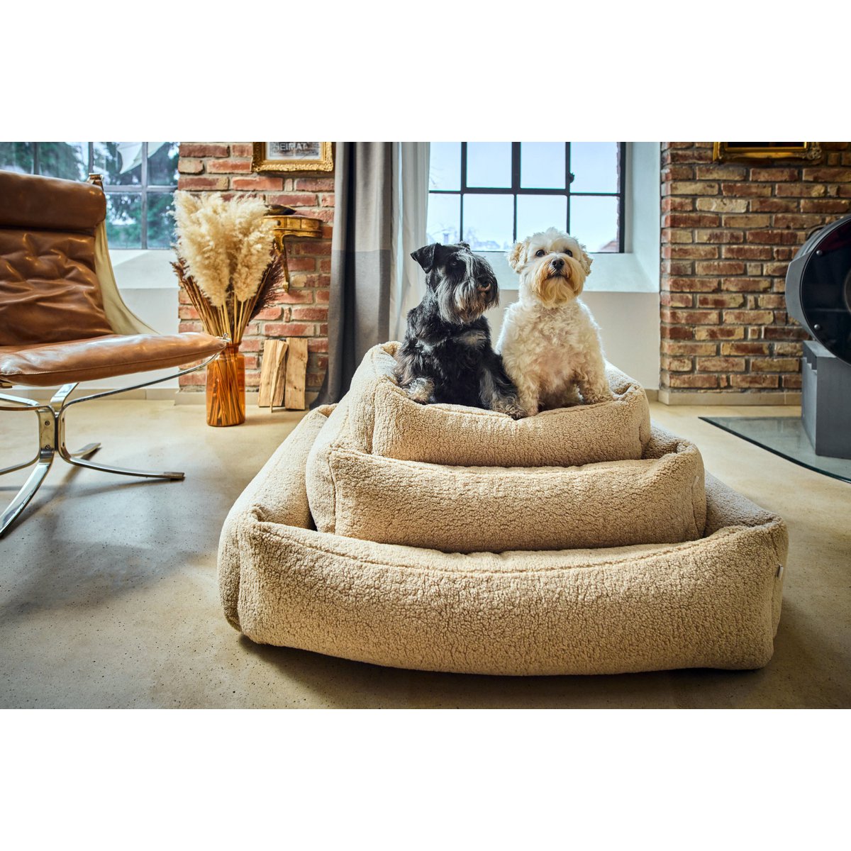 CLASSIC Hundebett - TEDDY CREME - Tiny Paws Boutique