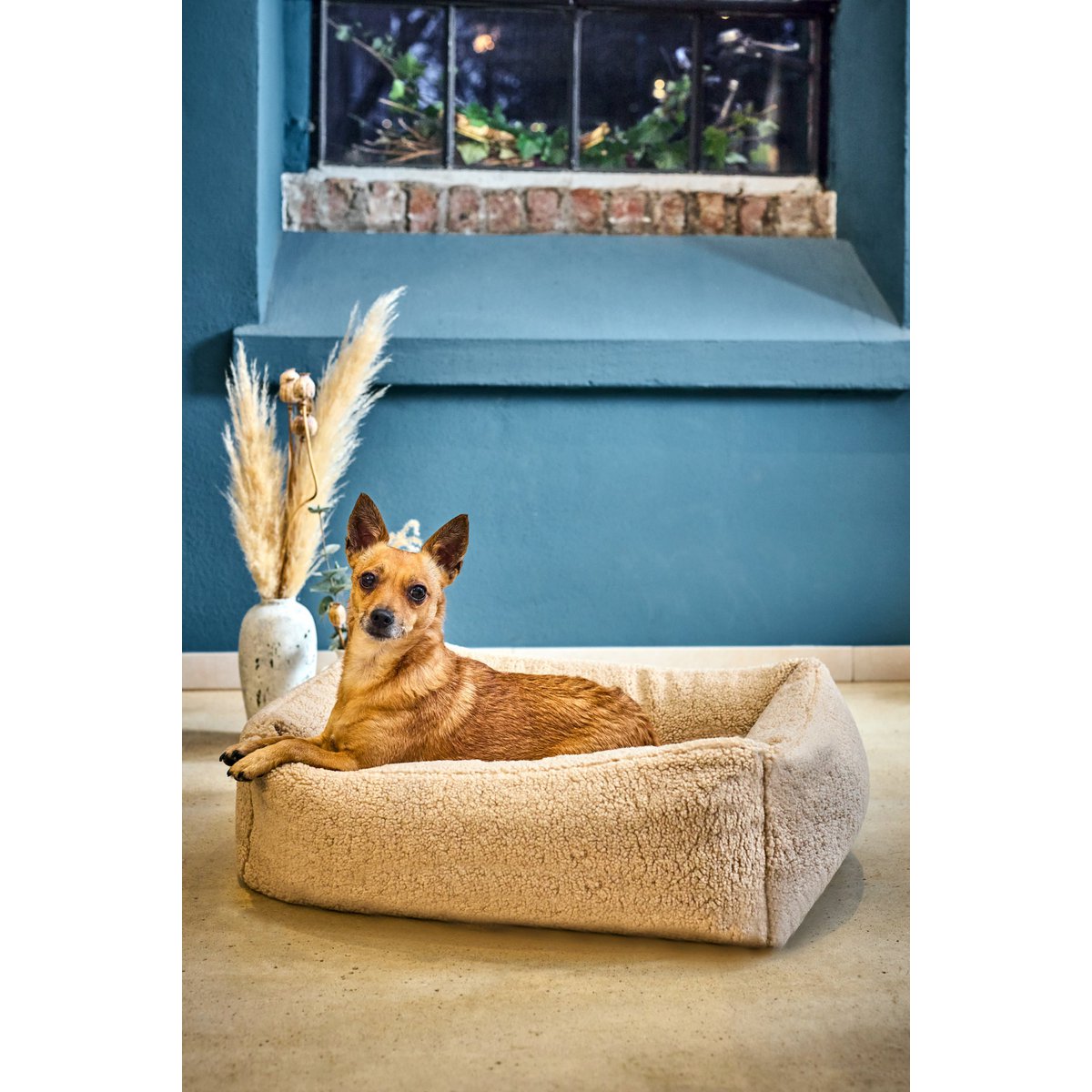 CLASSIC Hundebett - TEDDY CREME - Tiny Paws Boutique