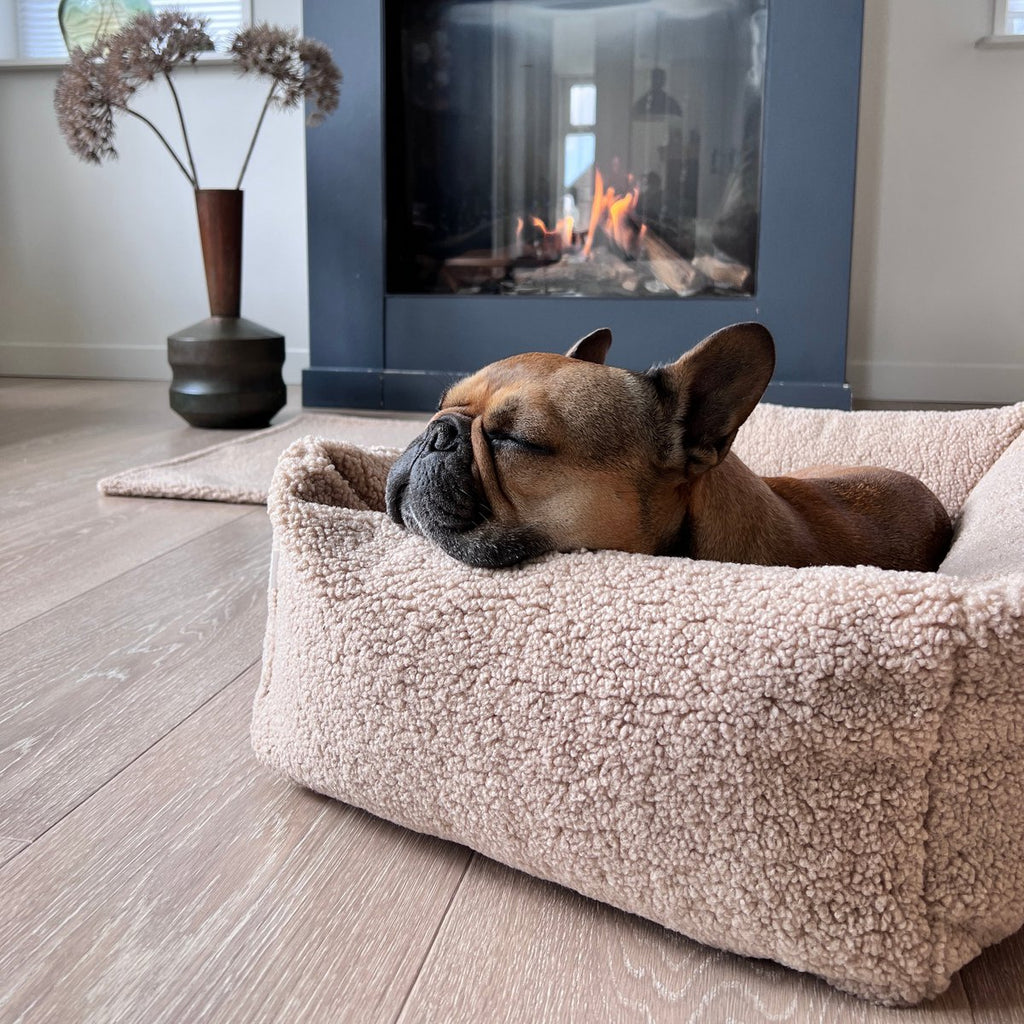 CLASSIC Hundebett - TEDDY CREME - Tiny Paws Boutique