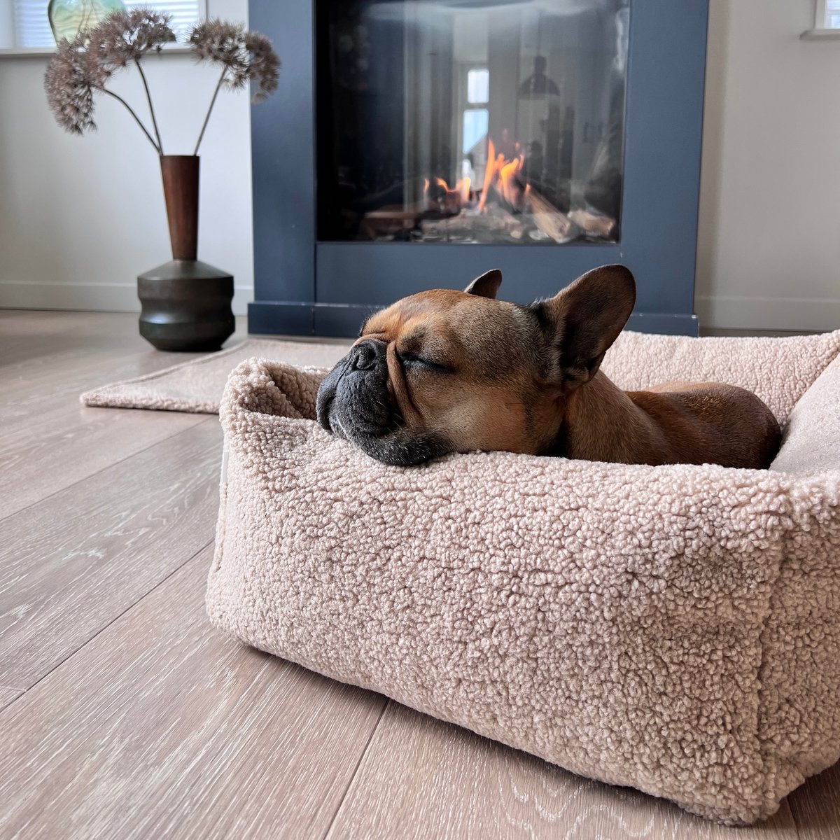 CLASSIC Hundebett - TEDDY CREME - Tiny Paws Boutique