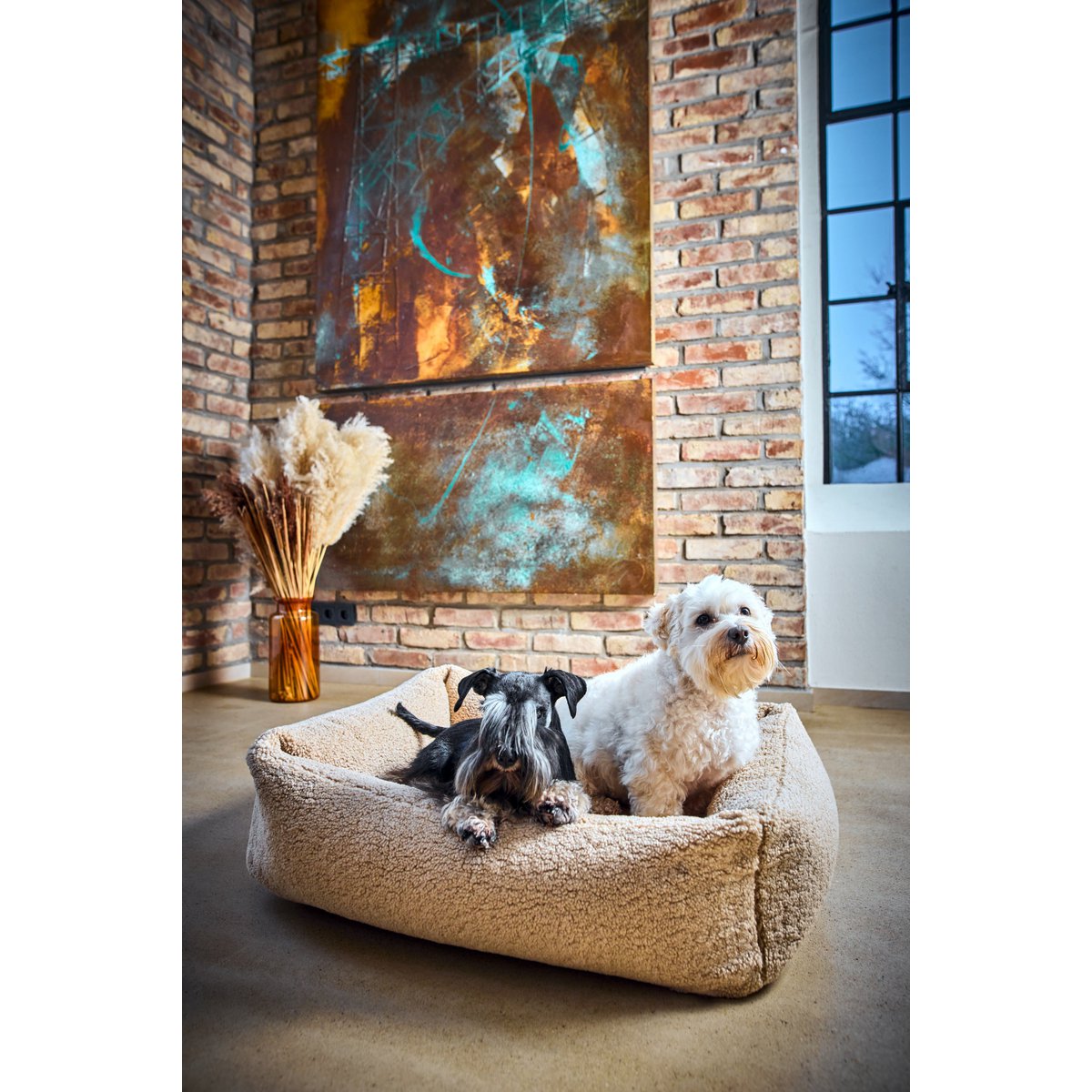 CLASSIC Hundebett - TEDDY CREME - Tiny Paws Boutique