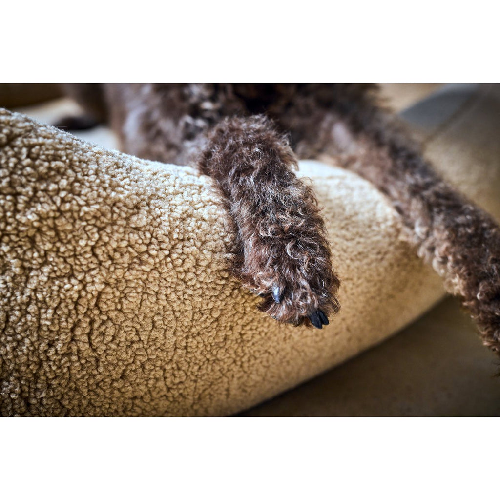CLASSIC Hundebett - TEDDY CREME - Tiny Paws Boutique