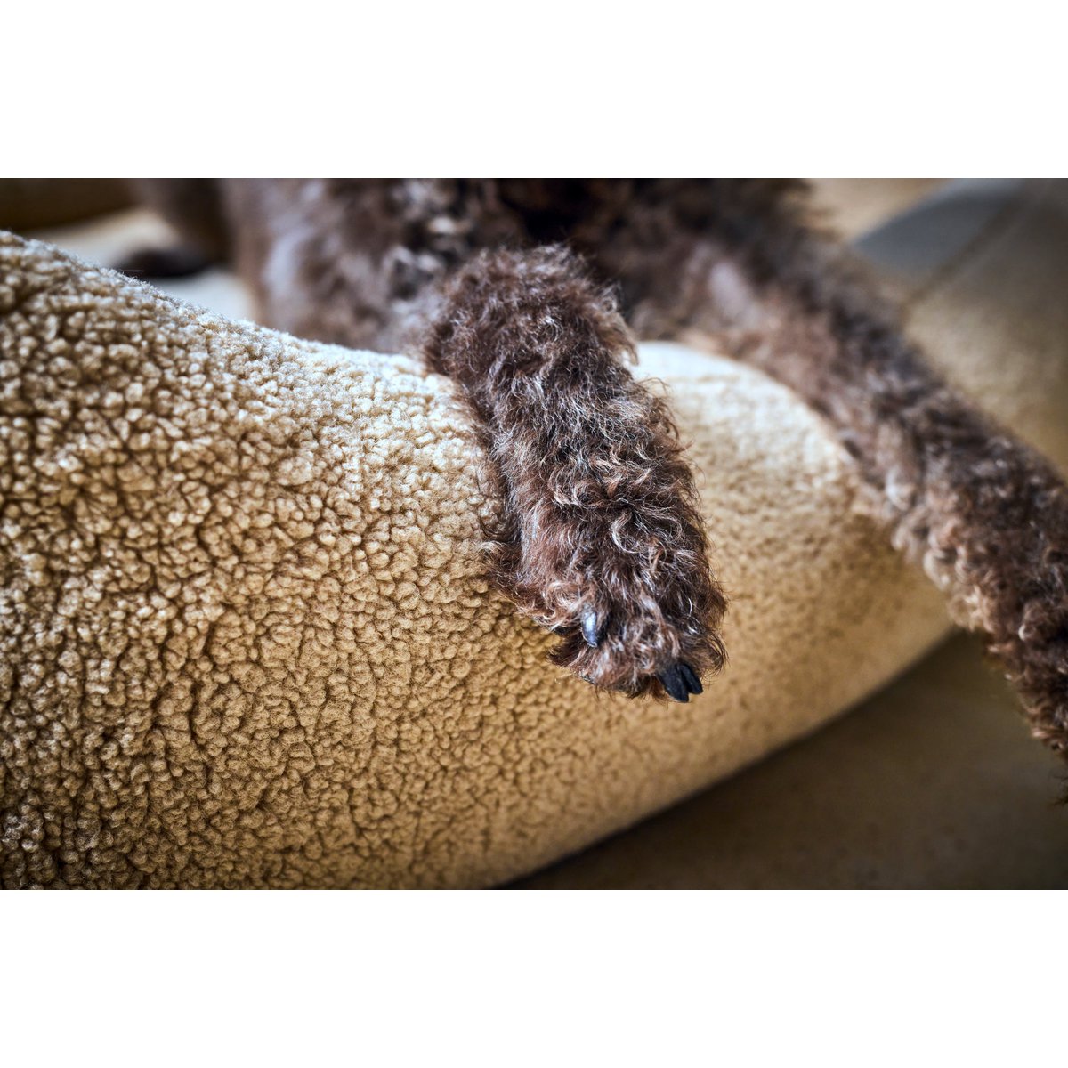 CLASSIC Hundebett - TEDDY CREME - Tiny Paws Boutique