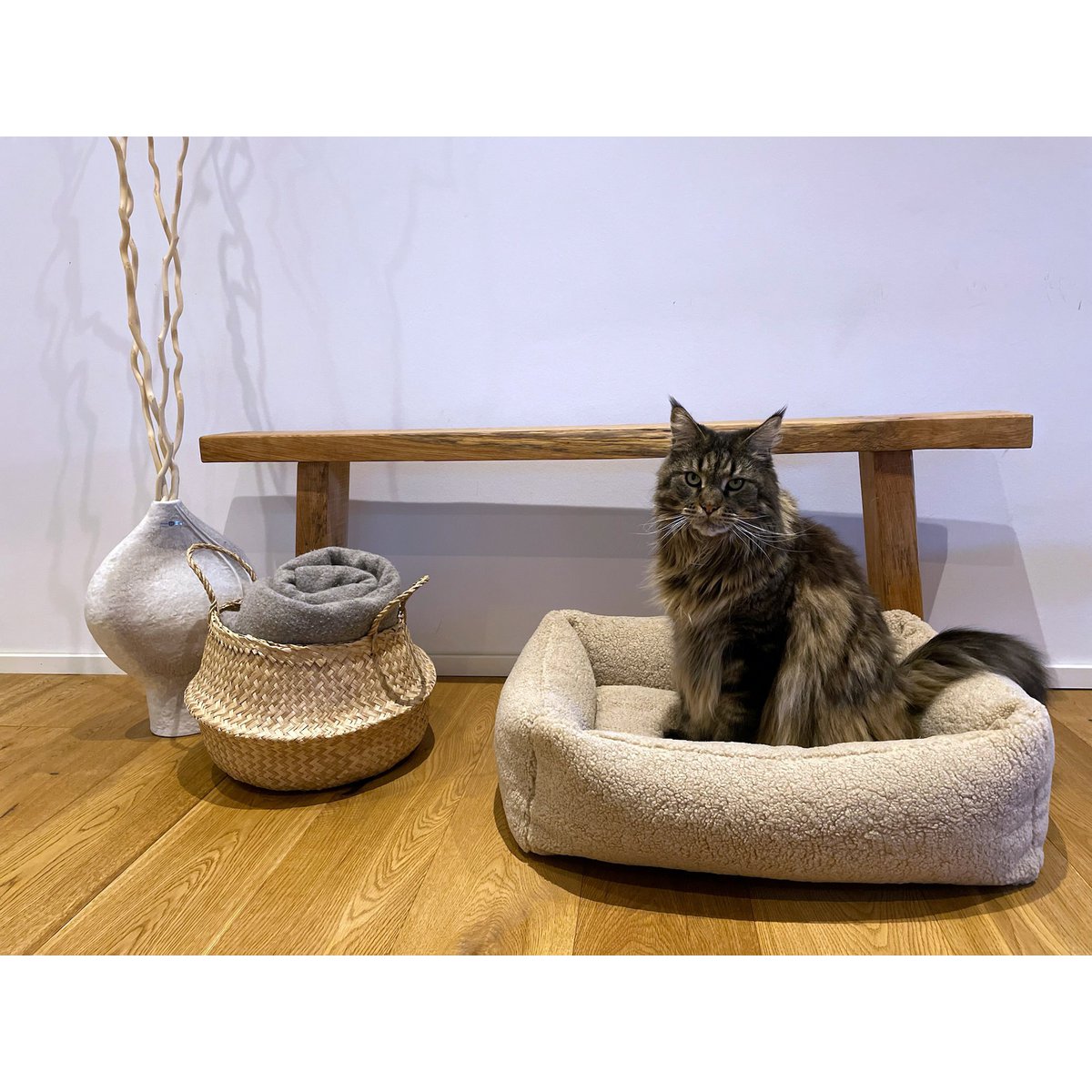 CLASSIC Hundebett - TEDDY CREME - Tiny Paws Boutique
