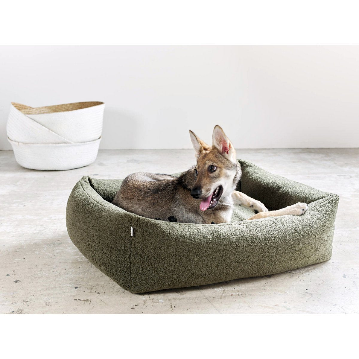CLASSIC Hundebett - TEDDY GREEN - Tiny Paws Boutique