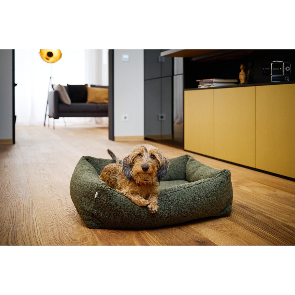 CLASSIC Hundebett - TEDDY GREEN - Tiny Paws Boutique