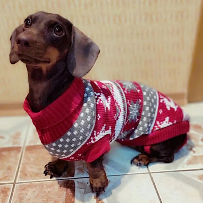 Dackel Pullover - Rentier - Tiny Paws Boutique