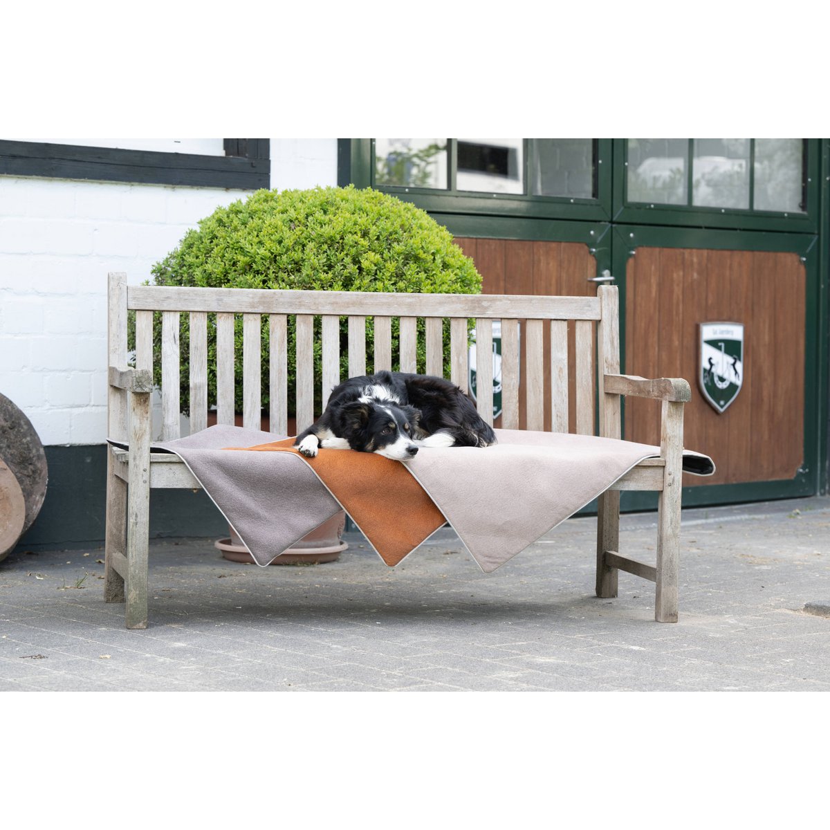 Decke BUFFALO CAMEL - Multifunktions - Decke - Tiny Paws Boutique