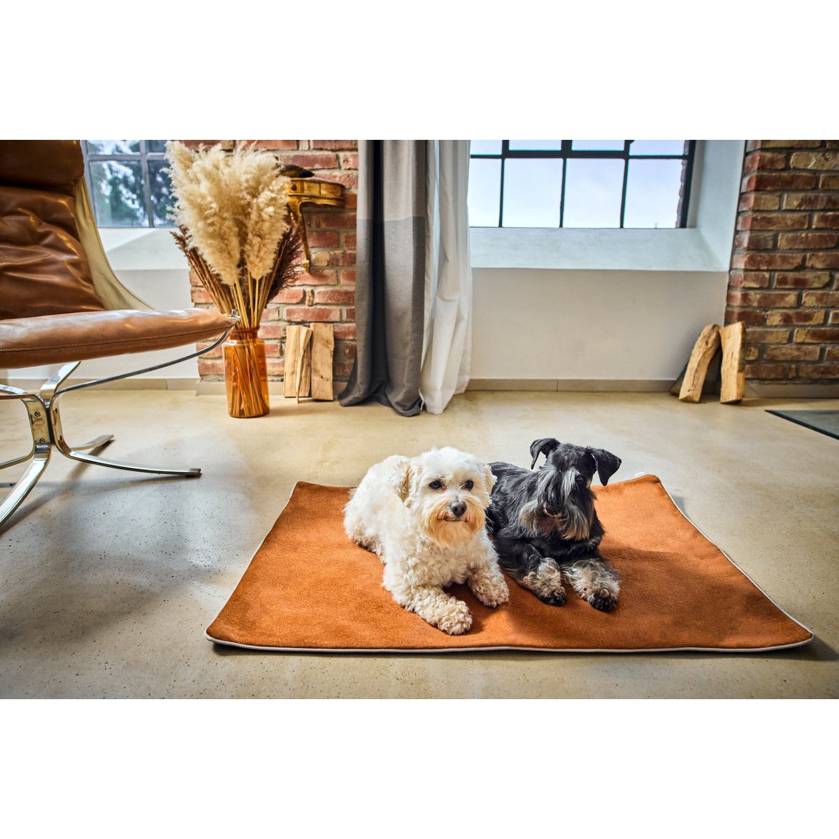 Decke BUFFALO CAMEL - Multifunktions - Decke - Tiny Paws Boutique
