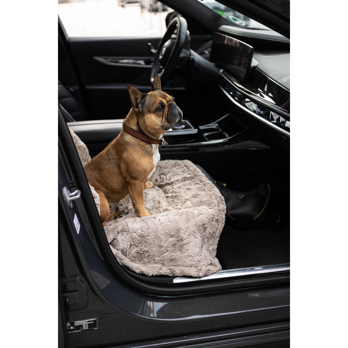 Decke COZY BEIGE - Edle Webpelz - Decke - Tiny Paws Boutique