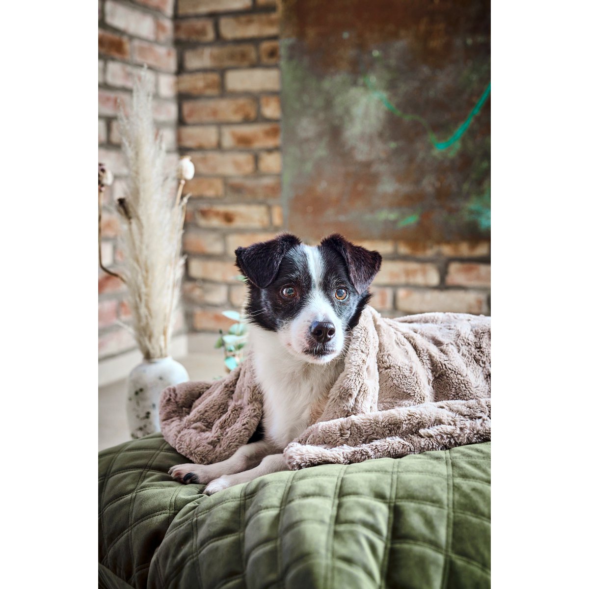 Decke COZY BEIGE - Edle Webpelz - Decke - Tiny Paws Boutique