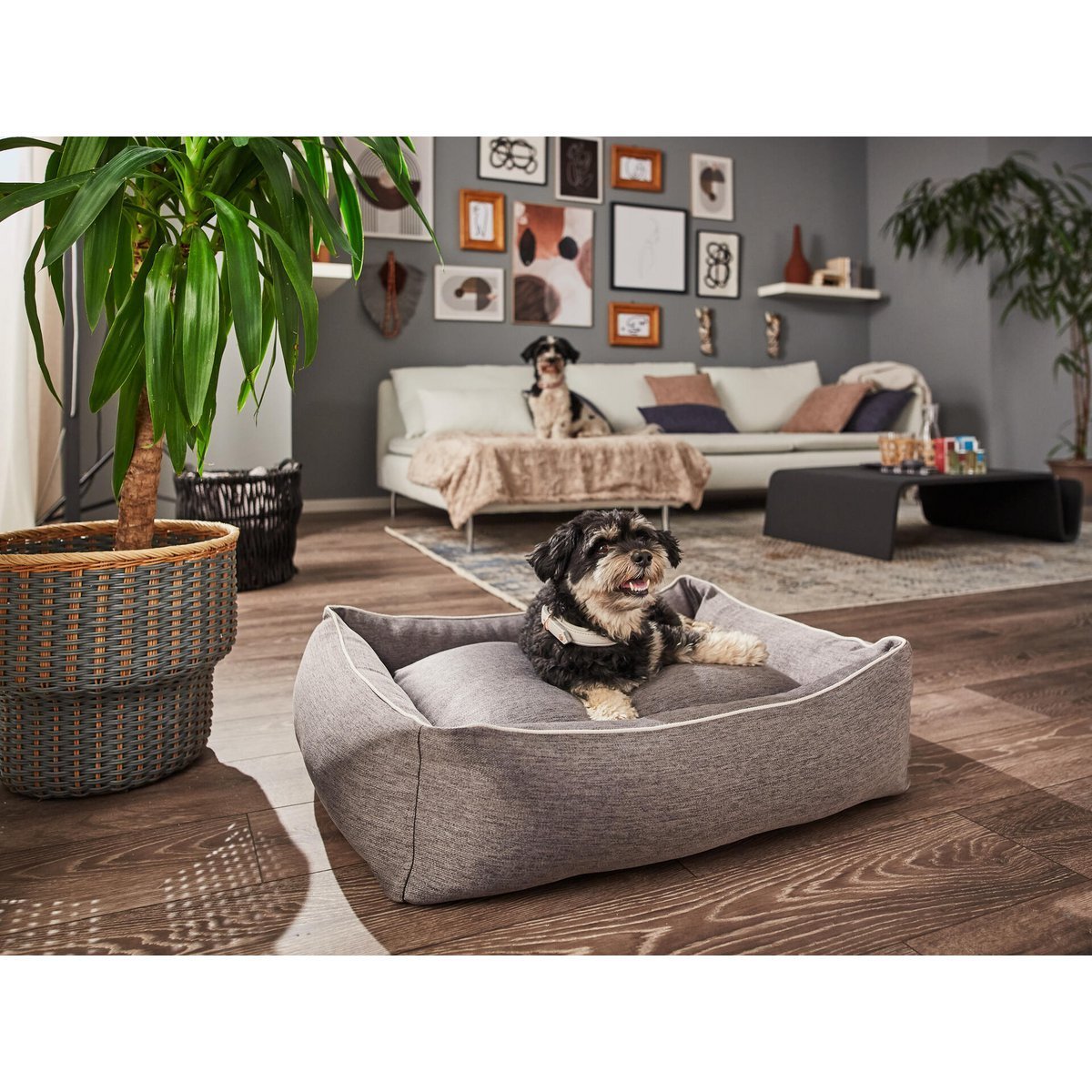 Decke COZY BEIGE - Edle Webpelz - Decke - Tiny Paws Boutique
